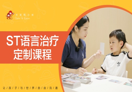 深圳言语治疗培训
